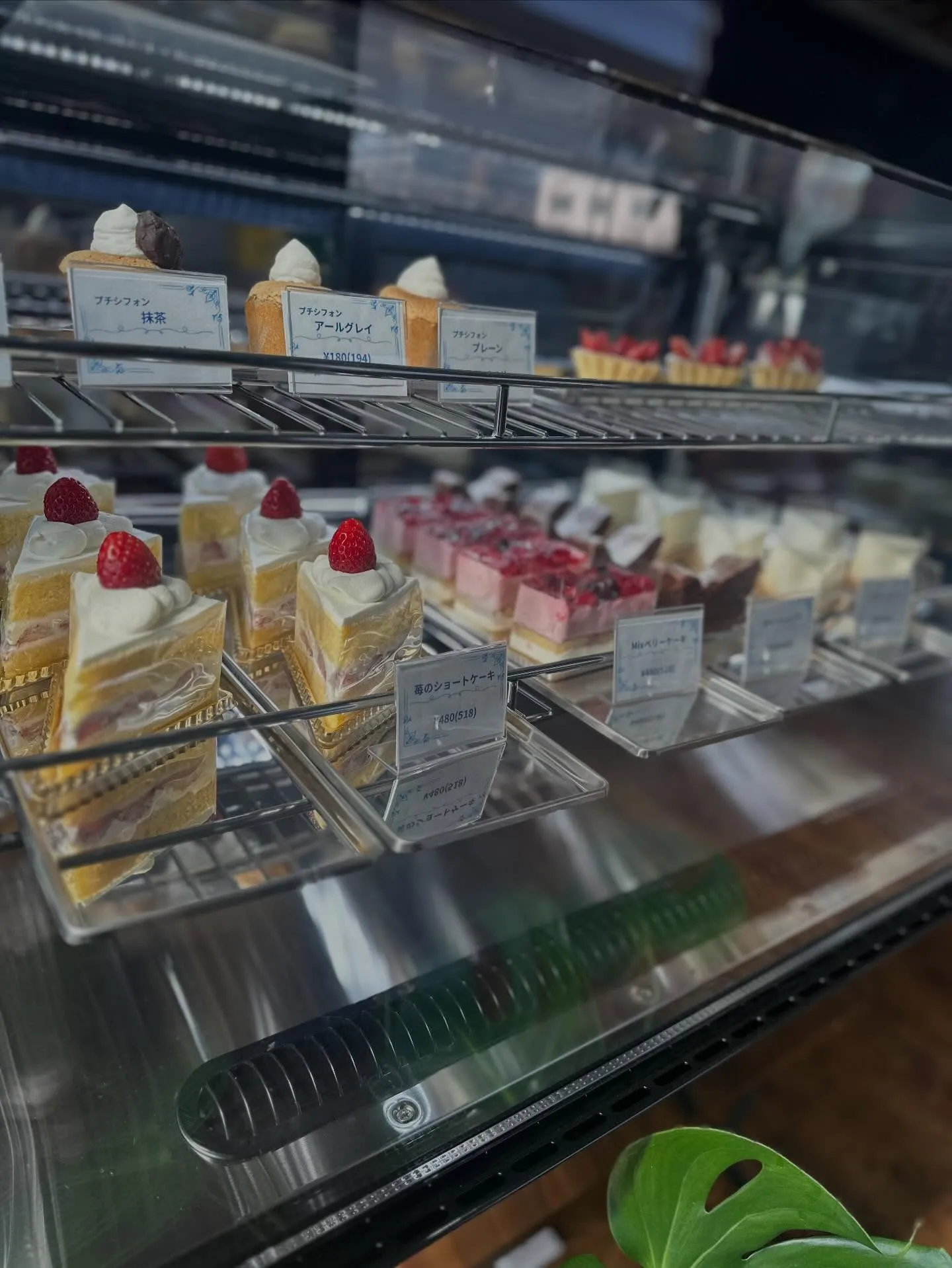 コーヒーゼリー発売‼️